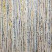 Birch Trees