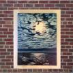 Moonlight