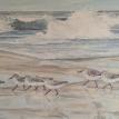 Sand Pipers 'after Jacqueline Penney'
